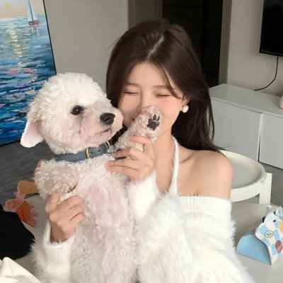 风临樱花开